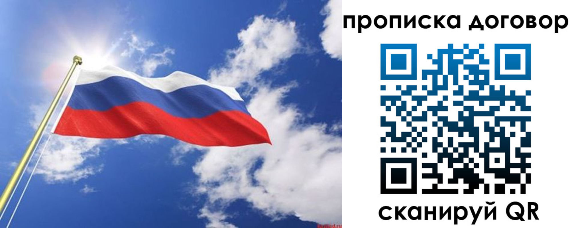прописка гарантия в Гусеве